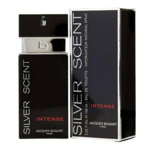 100ml Silver Scent Intense