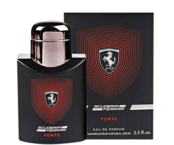 Forte EDP